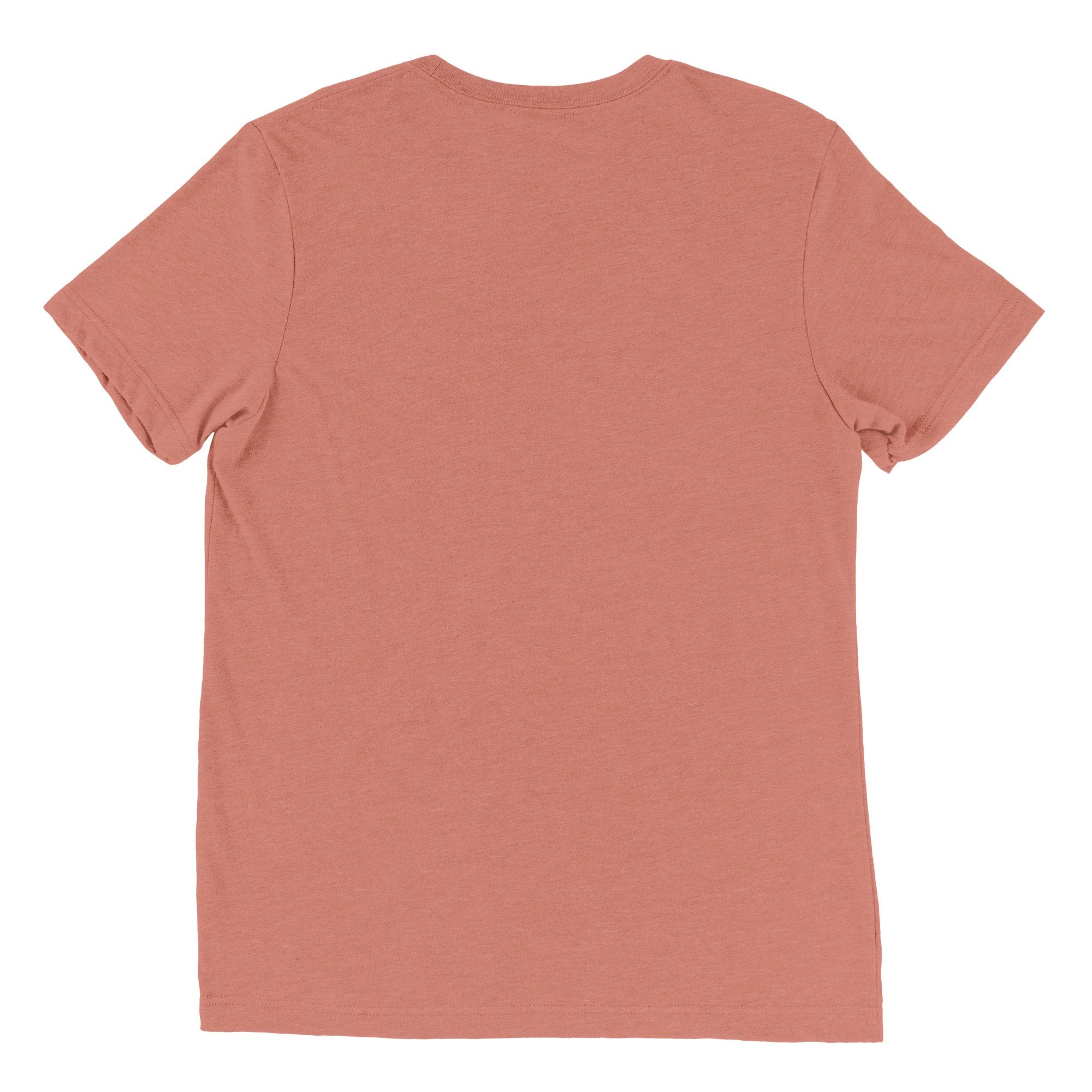 "Easily Distracted by K-Pop" Tri-Blend T-Shirt-67AD5669231E4_Solid-White-Triblend-3XL